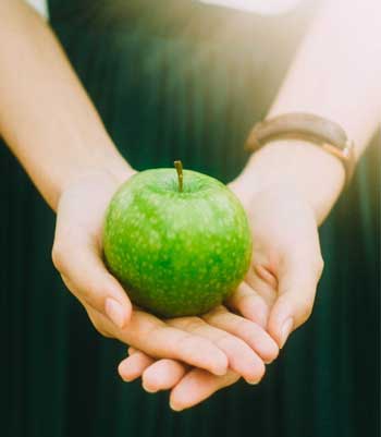 Two hands palms up holding a green apple